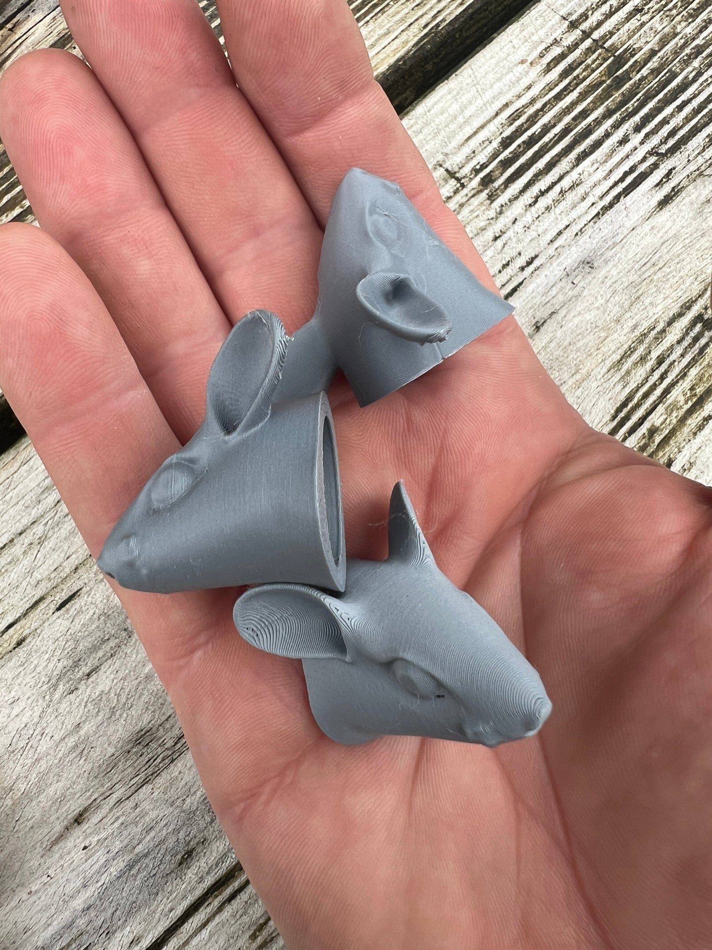 Fugly mouse craniums