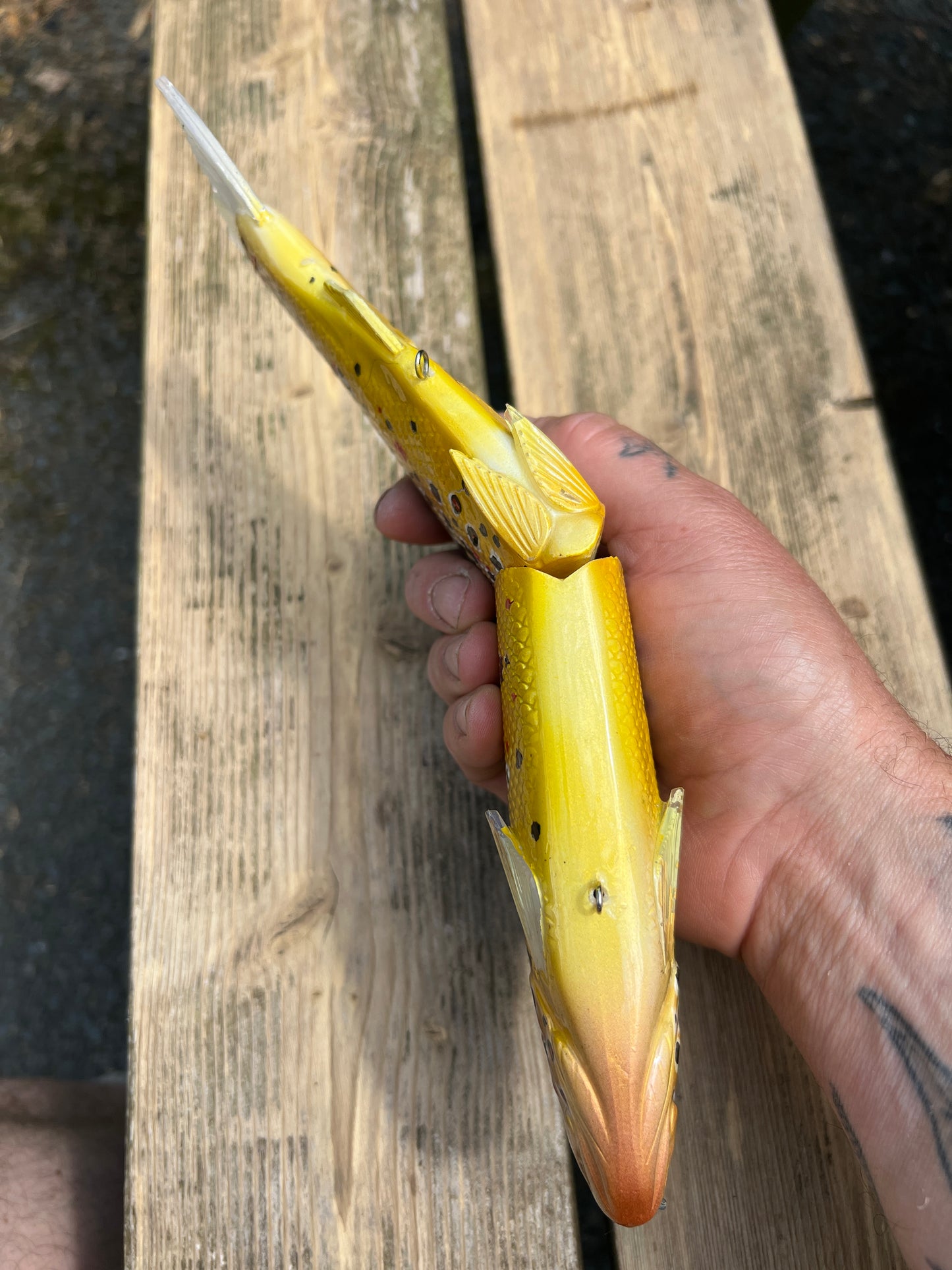 Hinckle clone trout